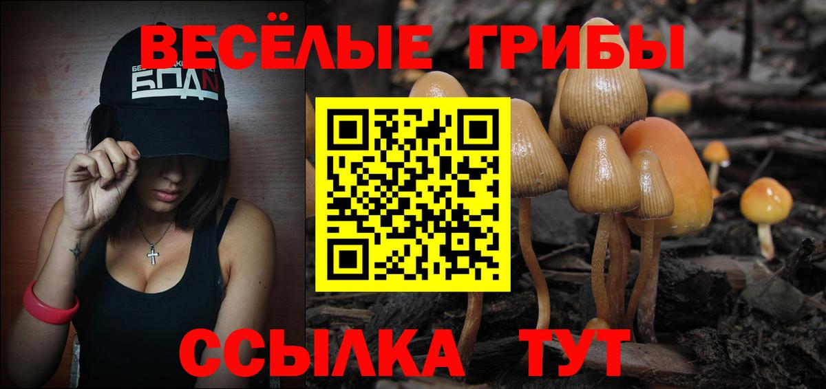 Фурманов  купить наркотик  Вход с VPN  Псилоцибиновые грибы Cubensis 